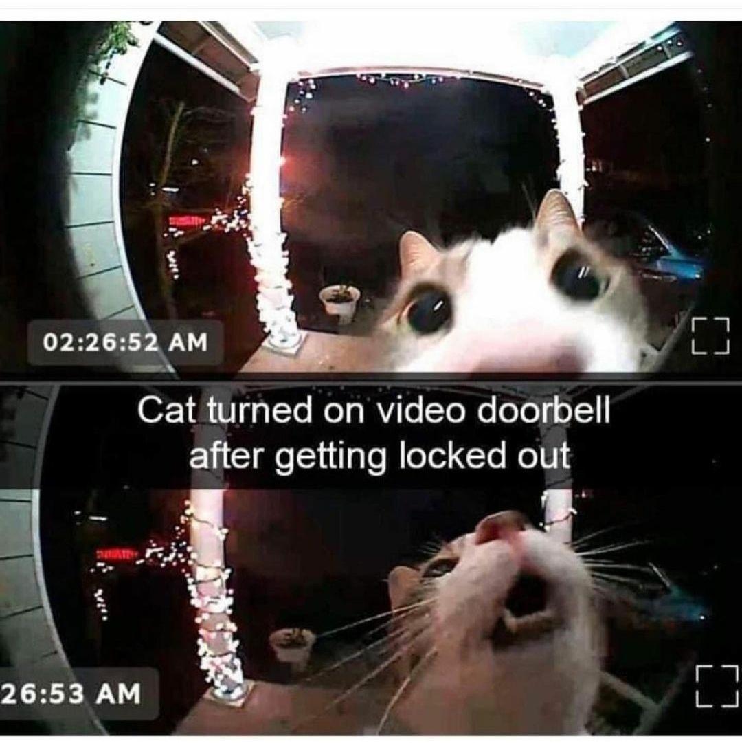 Aww come on, guys. Let me in!