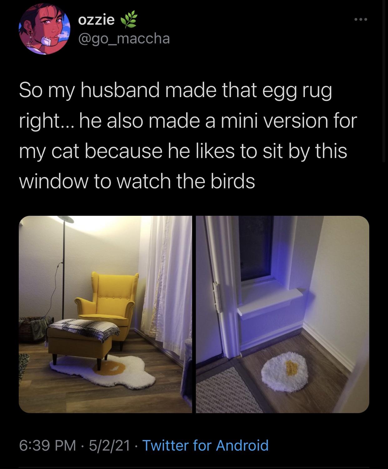 Funny Random Meme and Twitter Dump