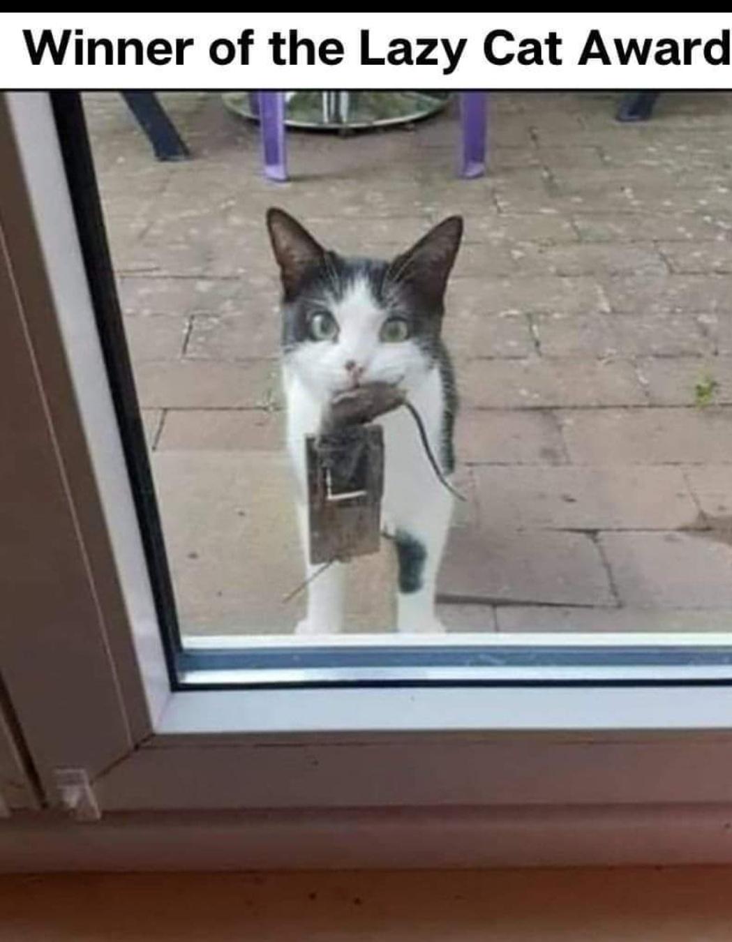 "I got you a little present"