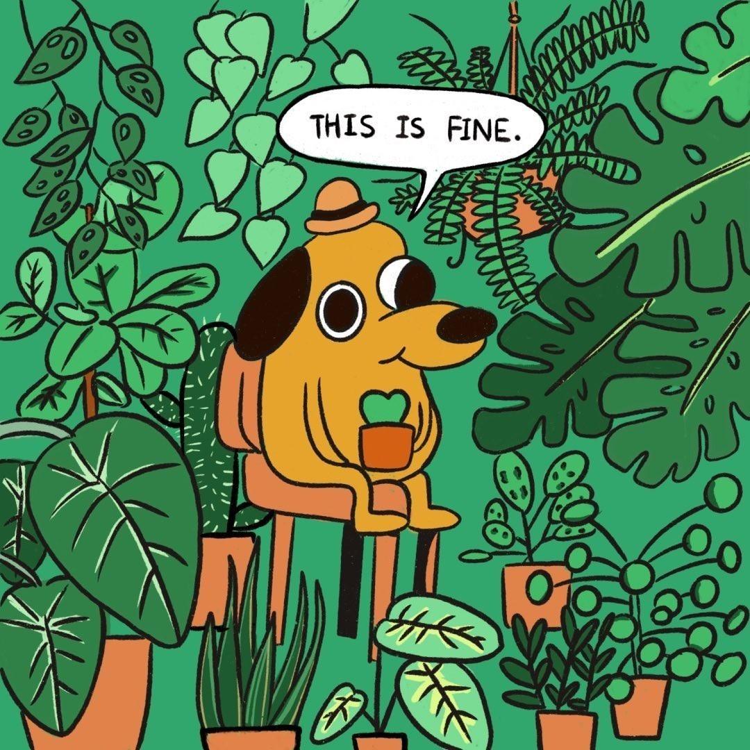 A situation id like to find myself in one day