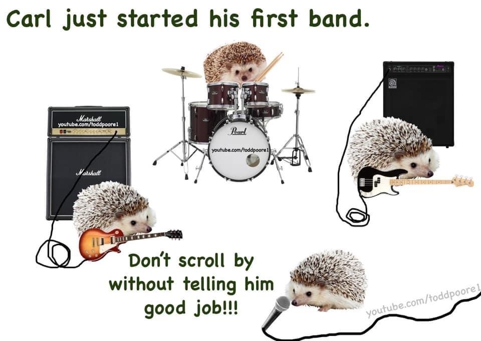 Carl started his first band.