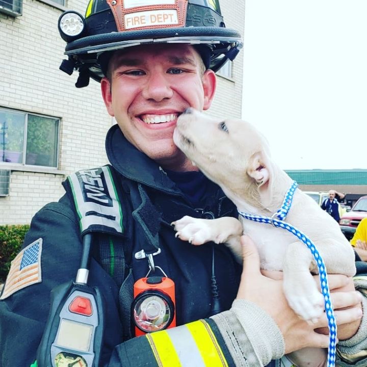 #TBT to when I rescued this little guy