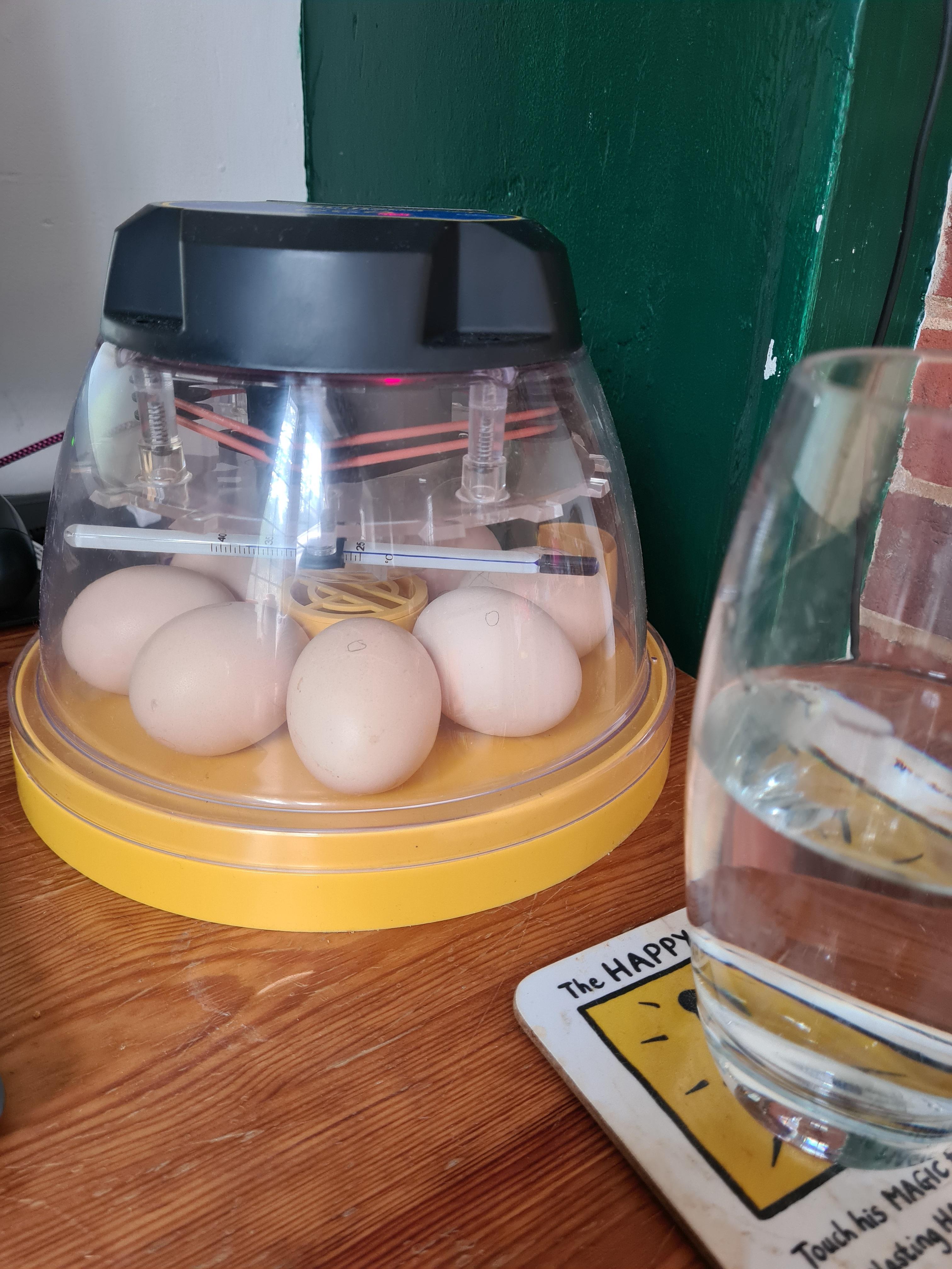 Wife and daughter are trying a thing