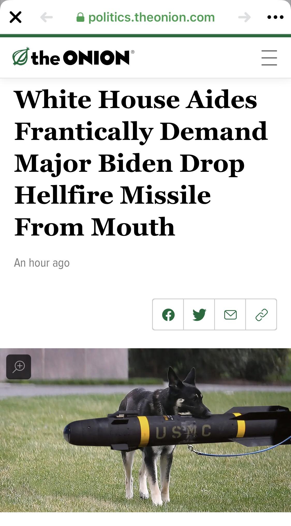 Drop it! Droooooop iiiiiit!