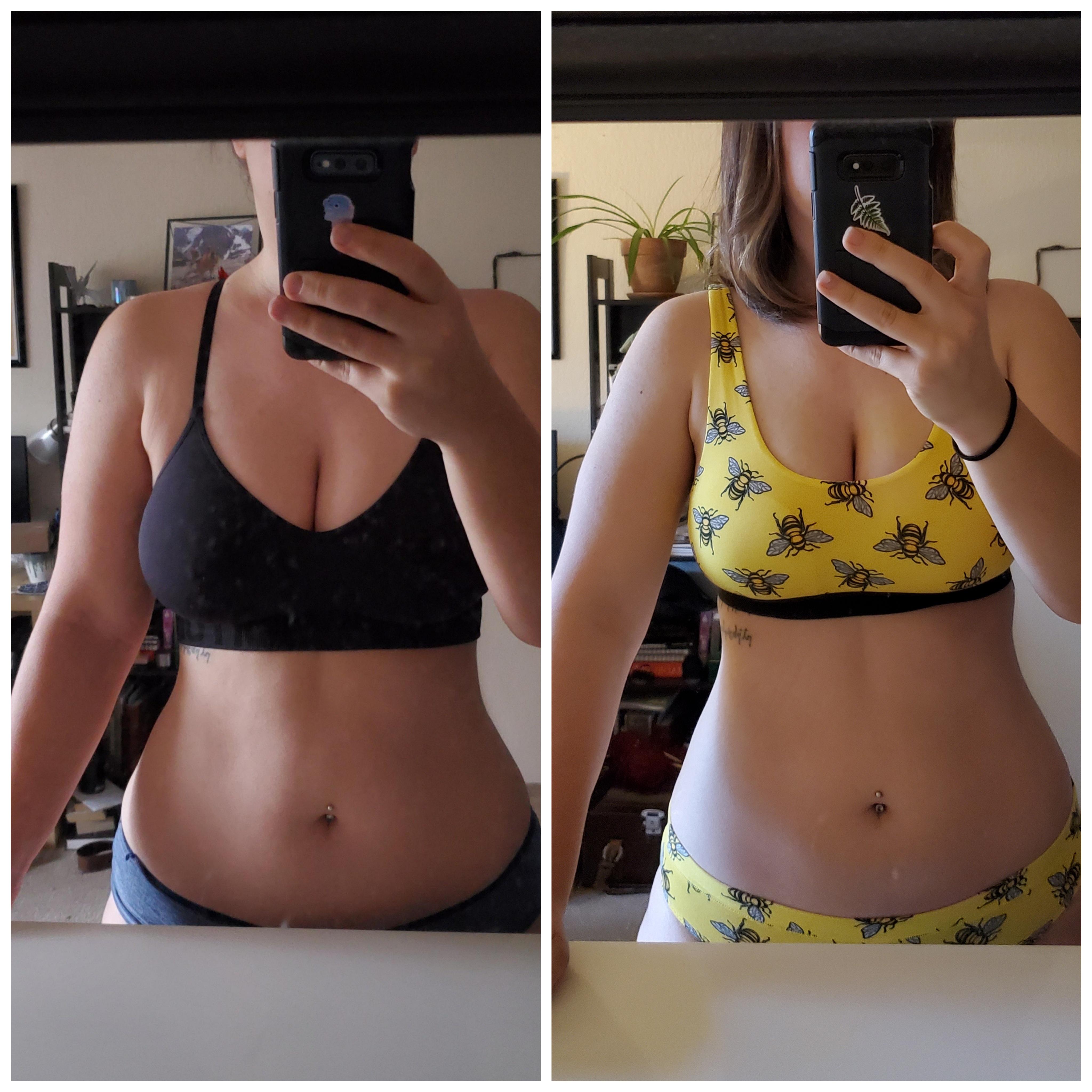 6 months' progress, now with 100% more bees!