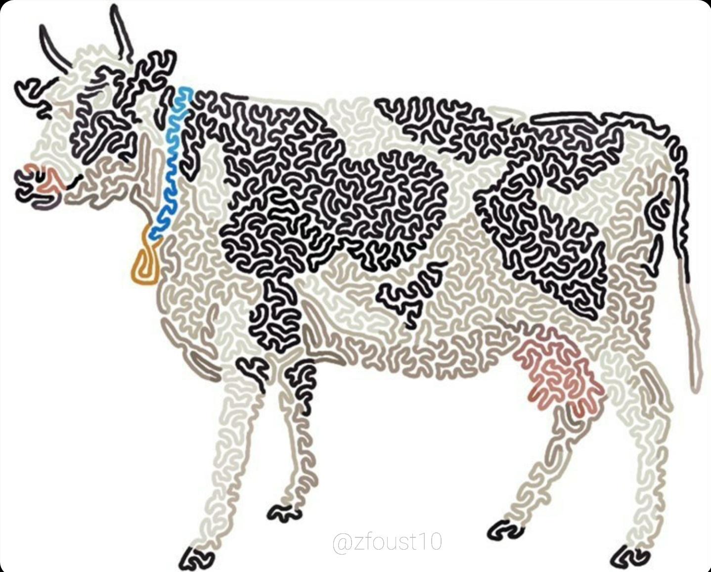 My son draws with me a lot. Today he finished his "One Line Cow" drawing and I wanted to share