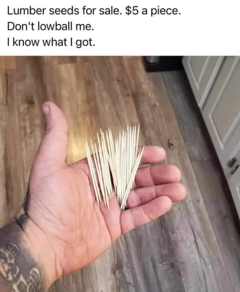 Got some o that good lumber ?