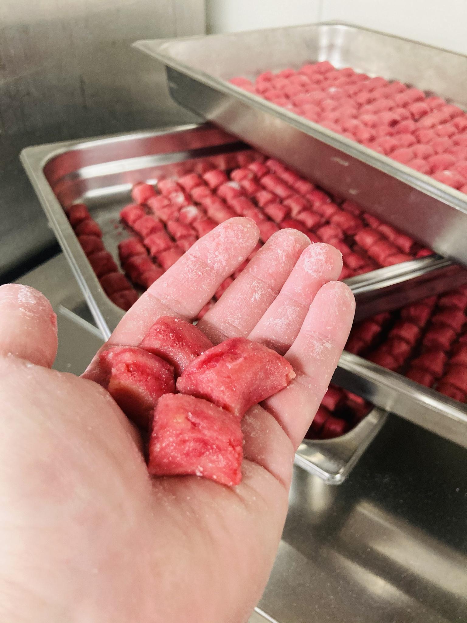 My hobbies are cooking and cats