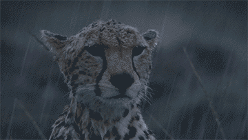 I never got to say sorry...