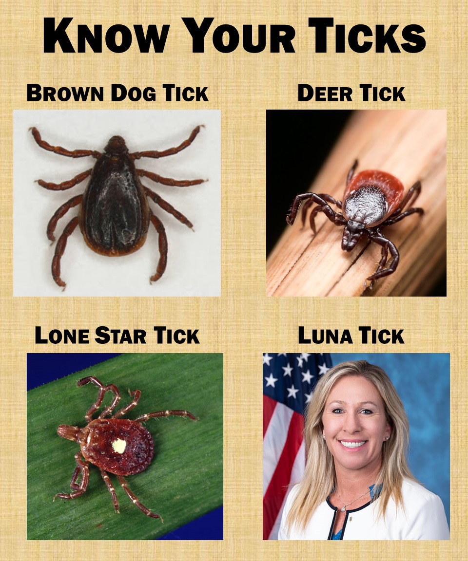 Know Your Ticks