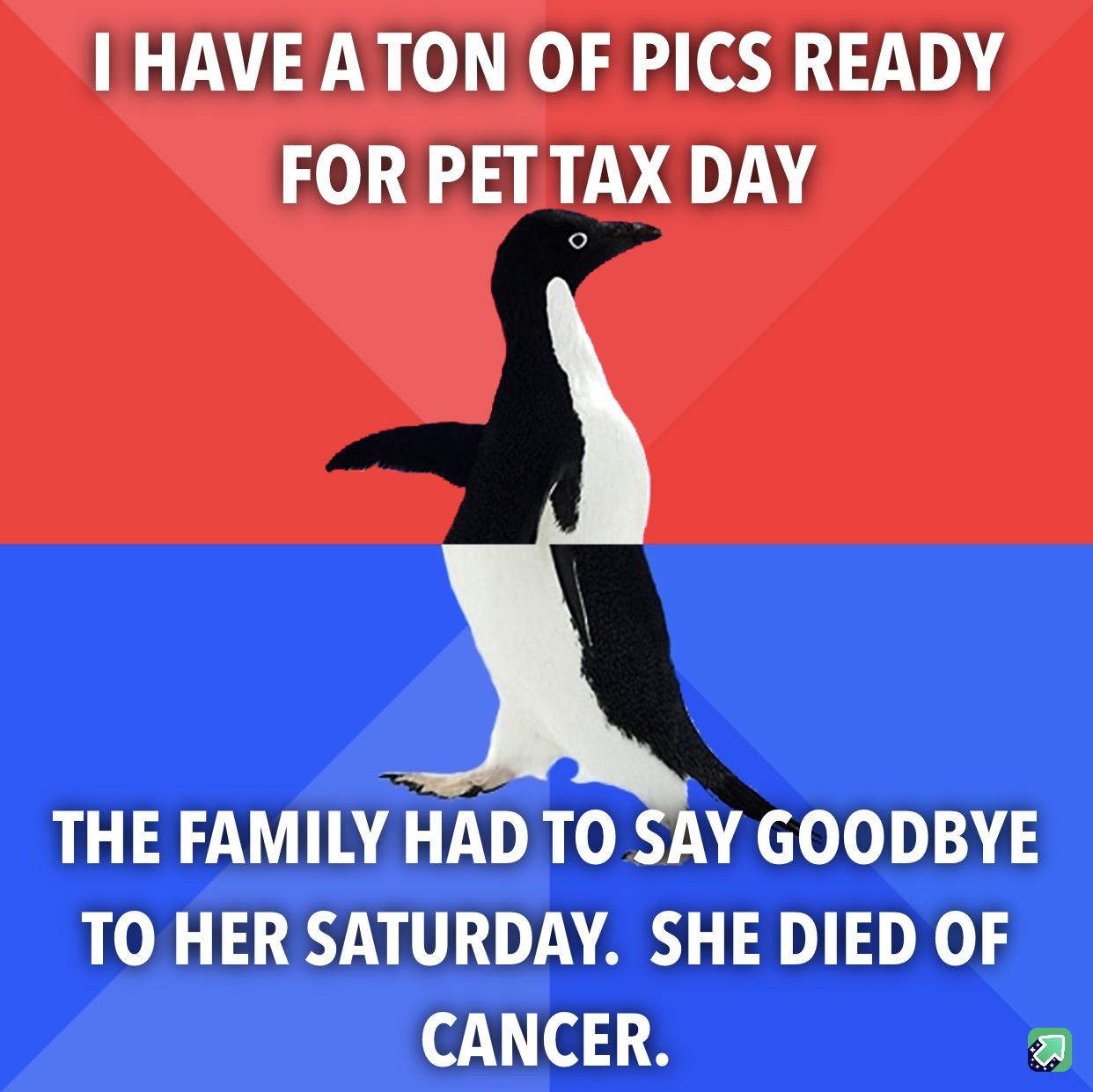 At least all dogs go to heaven