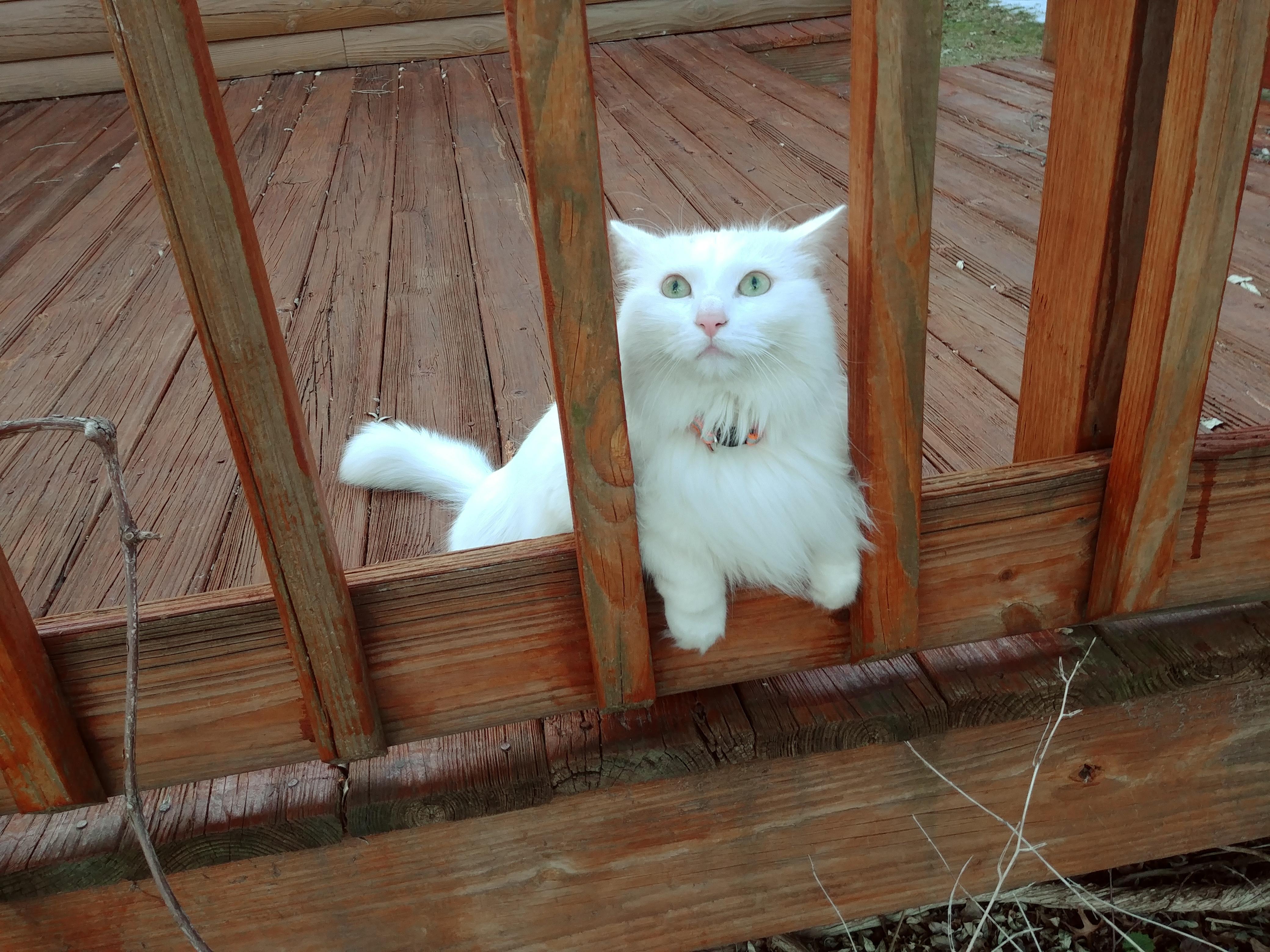 Mr Milks face when I told him he had to pay taxes