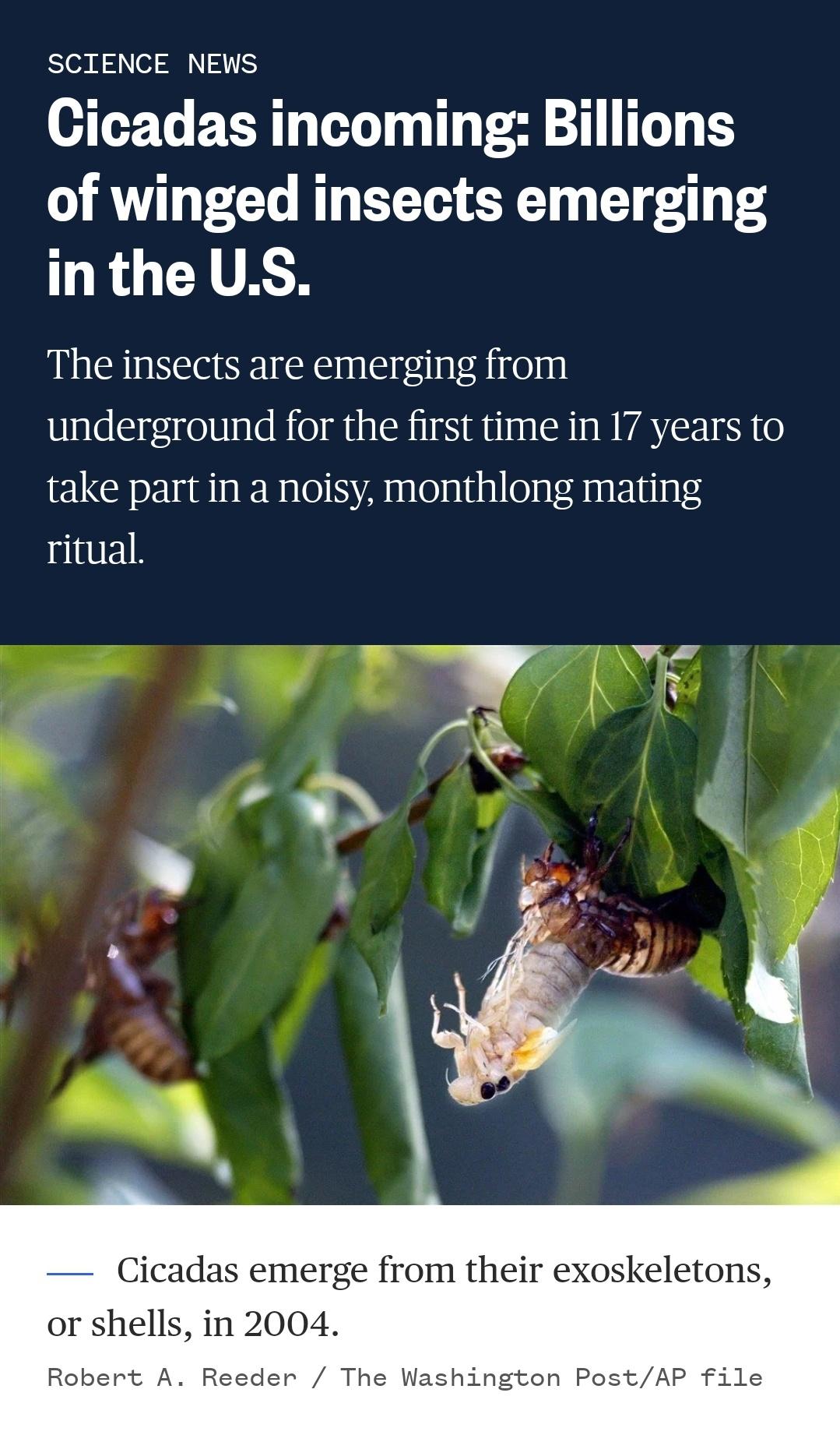 That's Billions... With a "B"