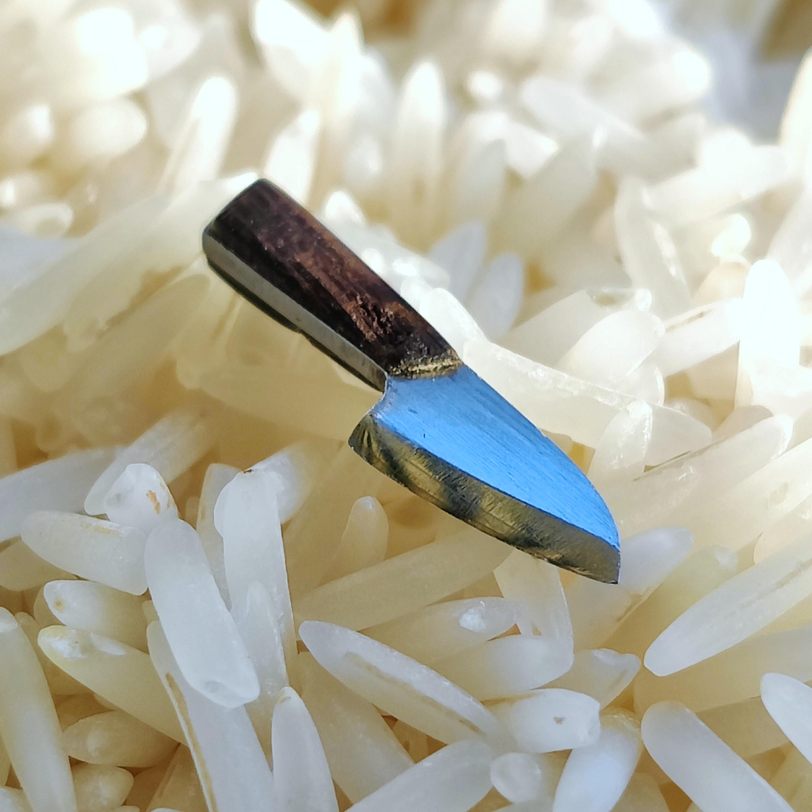 I made a knife. Full tang stainless steel Santoku with a Weng&eacute; handle.