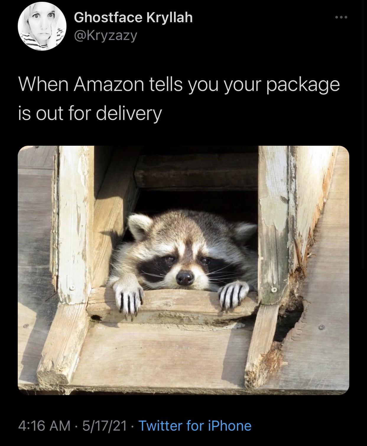 Funny Random Meme and Twitter Dump