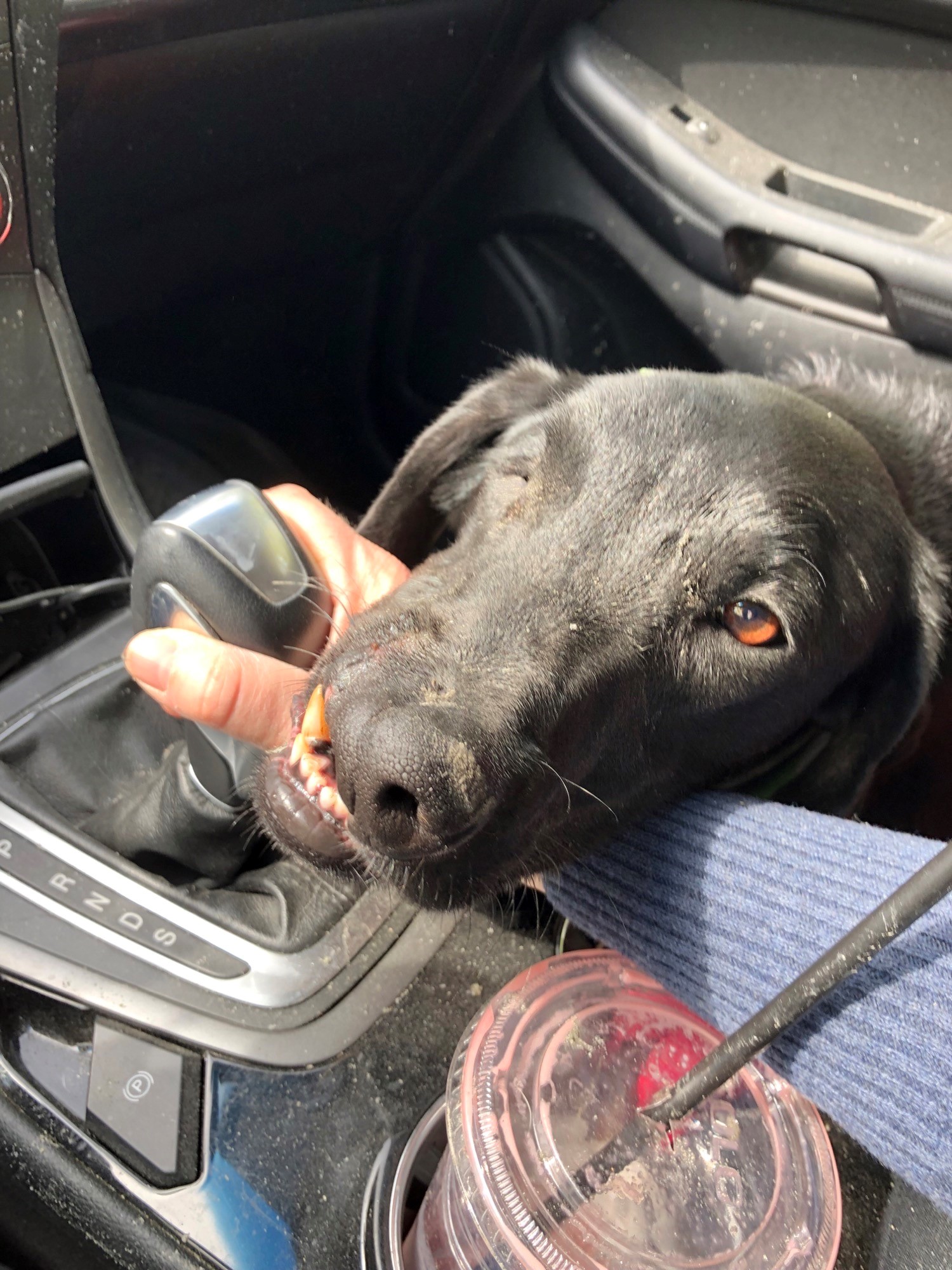 It's Felix Friday!&nbsp; Come with us on a trip to the river!&nbsp;