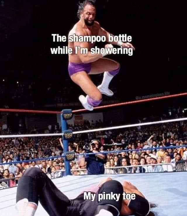 A moderately sized DK dump of stolen memes for these trying times 395.