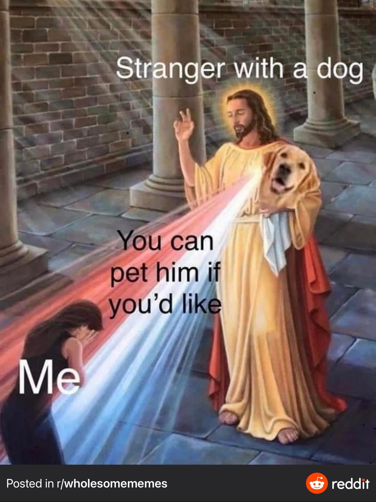 Things I look at to feel Wholesome (dump of stolen memes and comics)