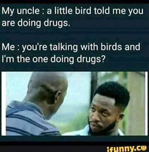 You are talking with birds