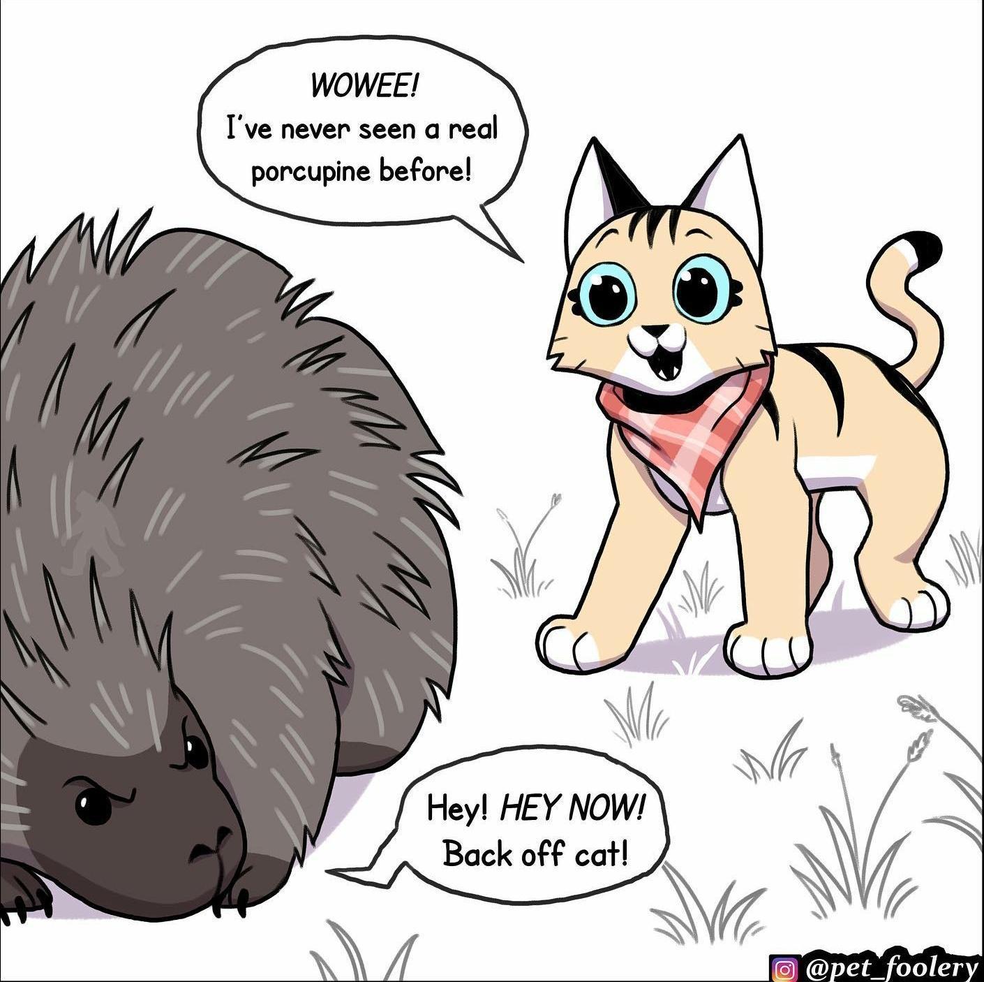 Pixie and Brutus dump