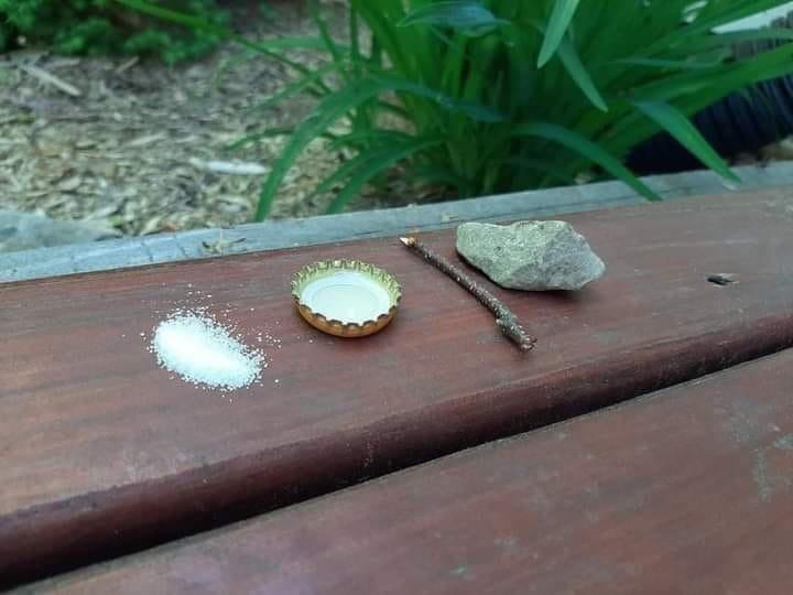 Why buy mosquito traps when you have this?