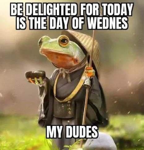 May the Wednesday be with you my dudes