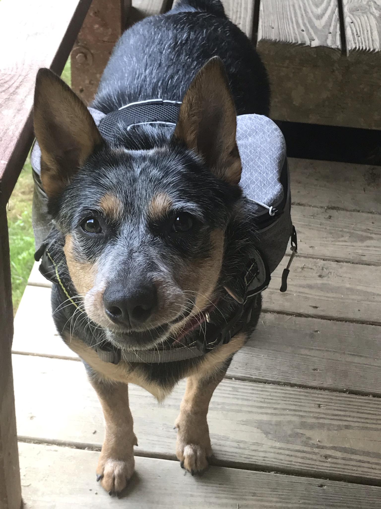 Sometimes her mouth sticks to her teefs