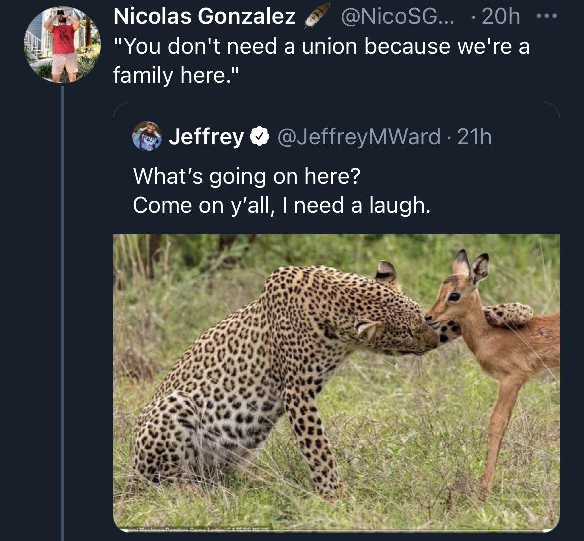 I'm crying and laughing. And crying because I'm laughing so hard.