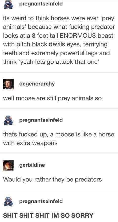 Predator Moose