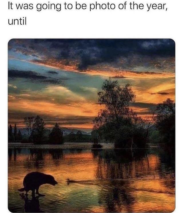 Now it&rsquo;s photo of the decade